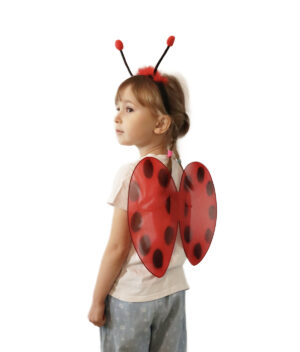 strój biedronki dla dziecka